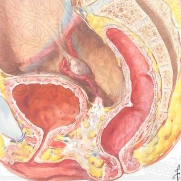 Vaginal Agenesis | Antalya Plastic Surgery